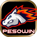 Pesowin review png